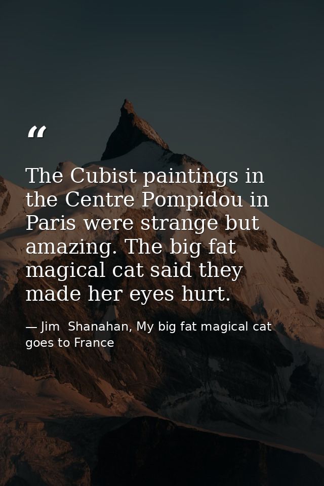 The Cubist paintings in the Centre Pompidou in Paris were strange but amazing. The big fat magical cat said they made he — Jim  Shanahan, My big fat magical cat goes to France
