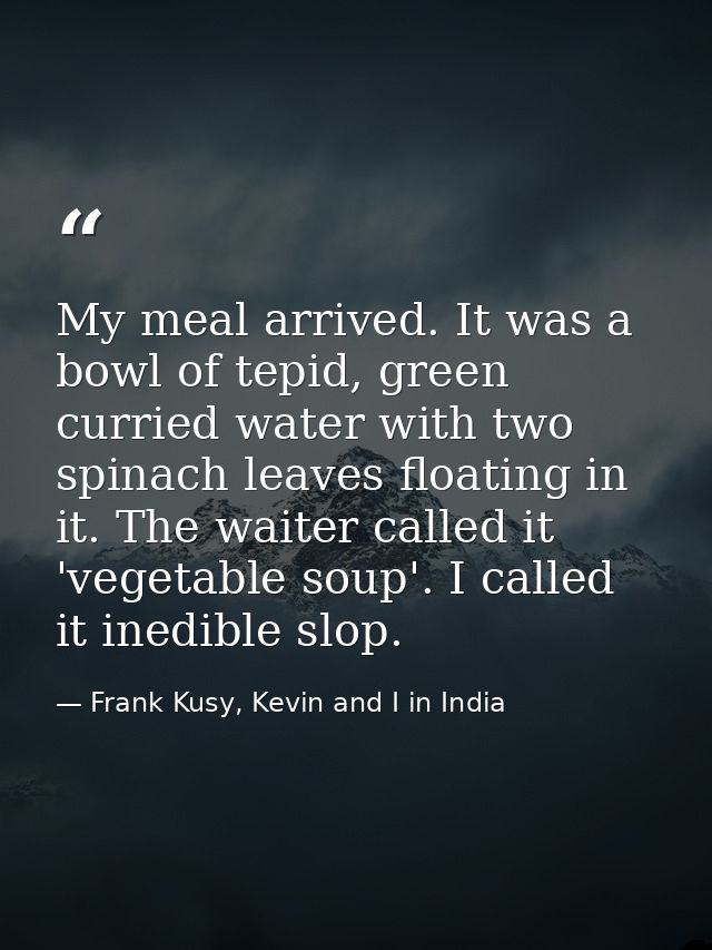 My meal arrived. It was a bowl of tepid, green curried water with two spinach leaves floating in it. The waiter called i — Frank Kusy, Kevin and I in India