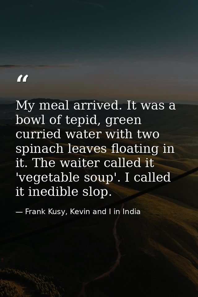 My meal arrived. It was a bowl of tepid, green curried water with two spinach leaves floating in it. The waiter called i — Frank Kusy, Kevin and I in India