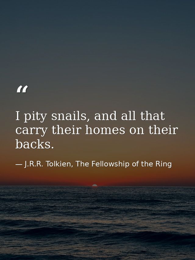 I pity snails, and all that carry their homes on their backs. — J.R.R. Tolkien, The Fellowship of the Ring