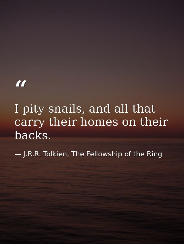 I pity snails, and all that carry their homes on their backs. — J.R.R. Tolkien, The Fellowship of the Ring
