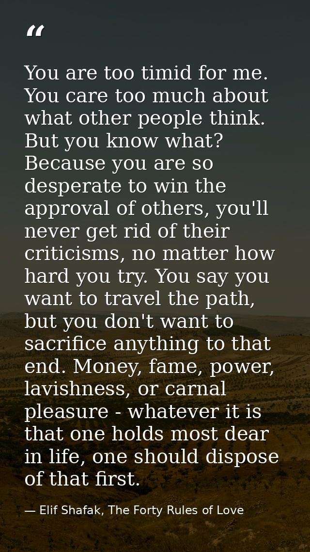 You are too timid for me. You care too much about what other people think. But you know what? Because you are so despera — Elif Shafak, The Forty Rules of Love