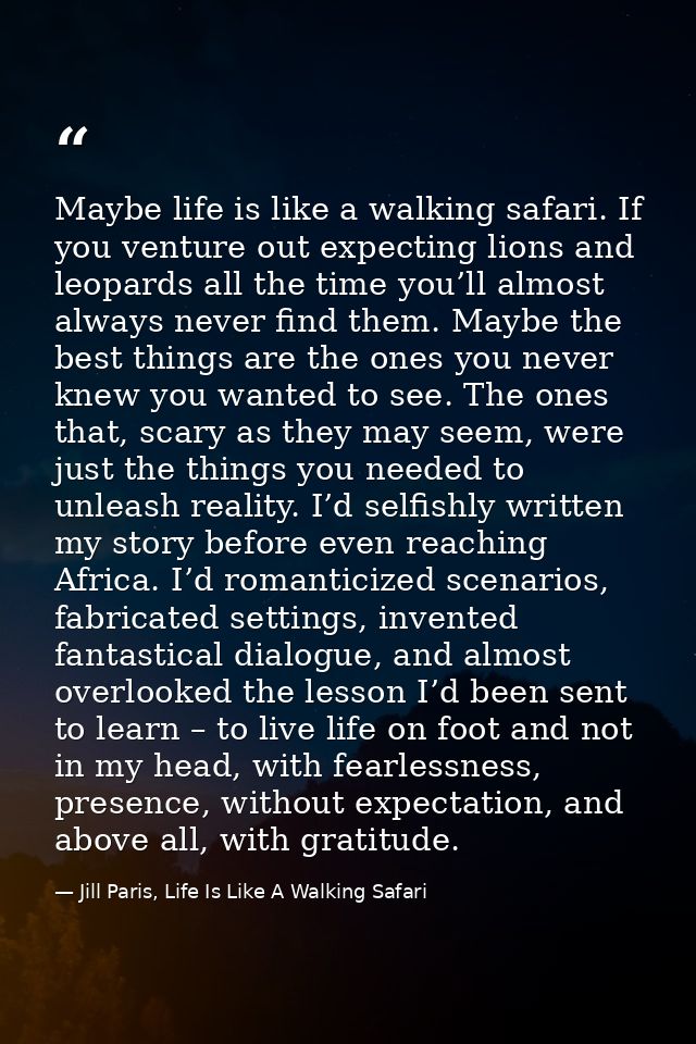 Maybe life is like a walking safari. If you venture out expecting lions and leopards all the time you’ll almost always n — Jill Paris, Life Is Like A Walking Safari