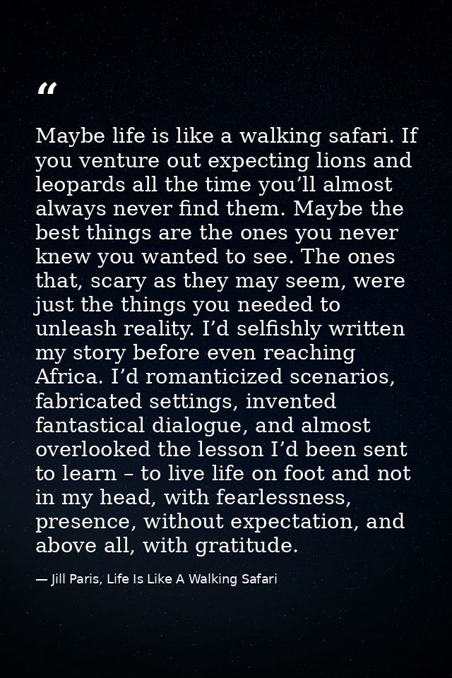 Maybe life is like a walking safari. If you venture out expecting lions and leopards all the time you’ll almost always n — Jill Paris, Life Is Like A Walking Safari