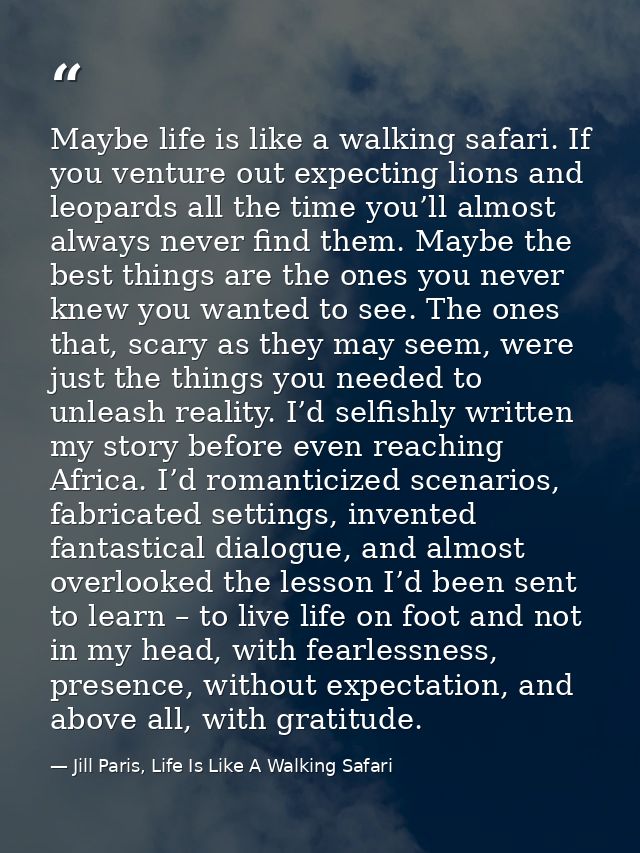 Maybe life is like a walking safari. If you venture out expecting lions and leopards all the time you’ll almost always n — Jill Paris, Life Is Like A Walking Safari