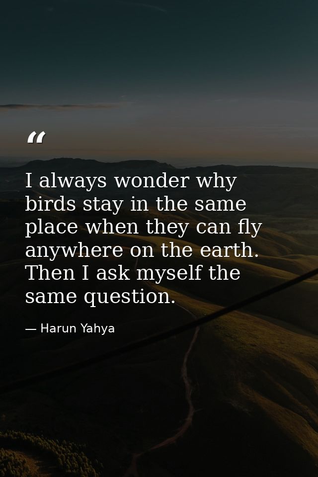 I always wonder why birds stay in the same place when they can fly anywhere on the earth. Then I ask myself the same que — Harun Yahya