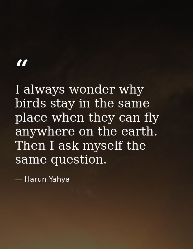 I always wonder why birds stay in the same place when they can fly anywhere on the earth. Then I ask myself the same que — Harun Yahya