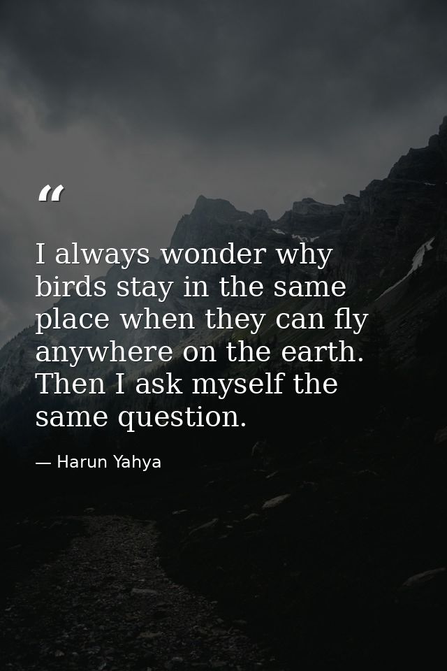 I always wonder why birds stay in the same place when they can fly anywhere on the earth. Then I ask myself the same que — Harun Yahya