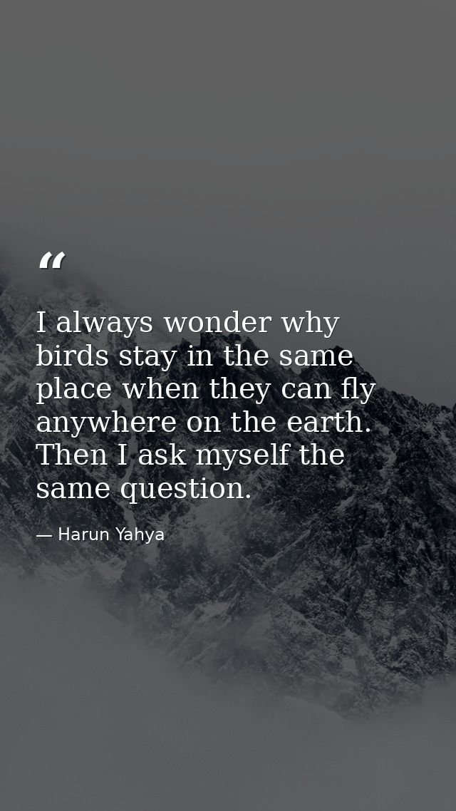 I always wonder why birds stay in the same place when they can fly anywhere on the earth. Then I ask myself the same que — Harun Yahya