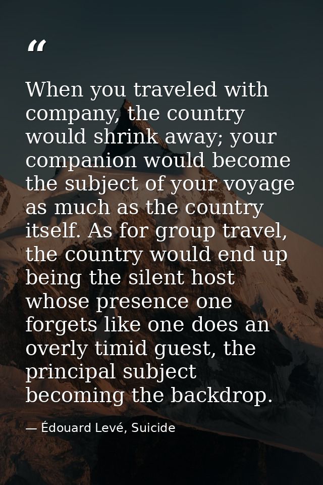 When you traveled with company, the country would shrink away; your companion would become the subject of your voyage as — Édouard Levé, Suicide
