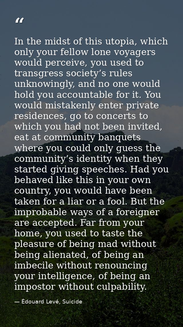 In the midst of this utopia, which only your fellow lone voyagers would perceive, you used to transgress society’s rules — Édouard Levé, Suicide