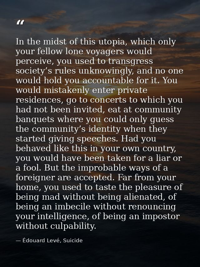 In the midst of this utopia, which only your fellow lone voyagers would perceive, you used to transgress society’s rules — Édouard Levé, Suicide