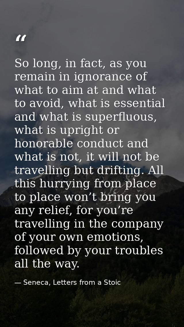 So long, in fact, as you remain in ignorance of what to aim at and what to avoid, what is essential and what is superflu — Seneca, Letters from a Stoic