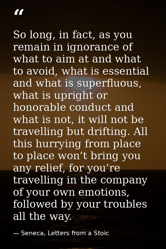 So long, in fact, as you remain in ignorance of what to aim at and what to avoid, what is essential and what is superflu — Seneca, Letters from a Stoic