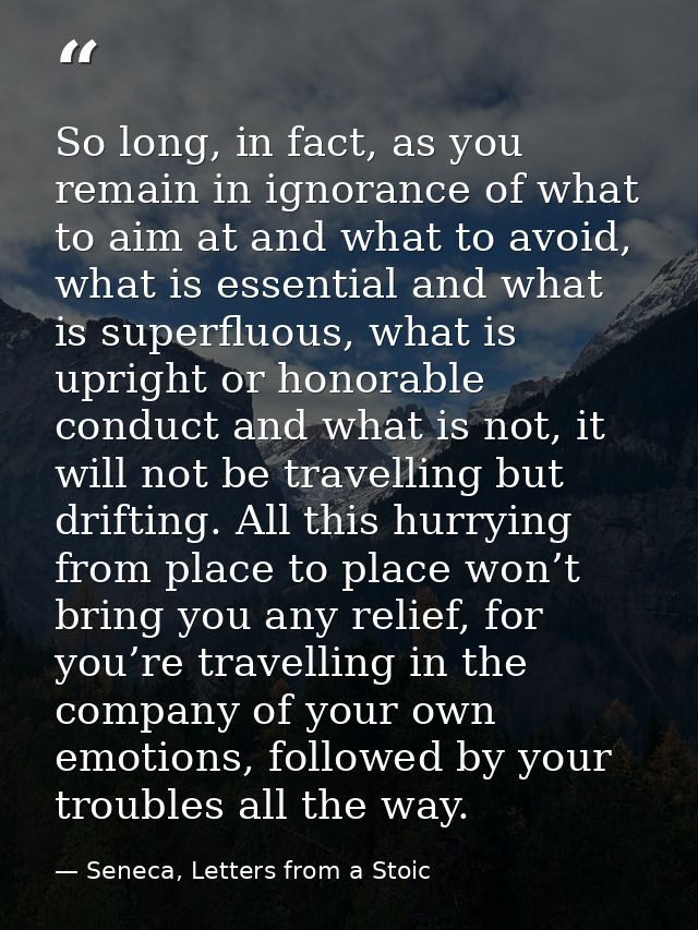 So long, in fact, as you remain in ignorance of what to aim at and what to avoid, what is essential and what is superflu — Seneca, Letters from a Stoic