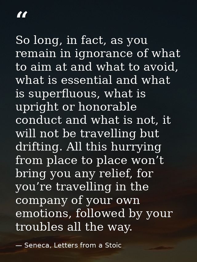 So long, in fact, as you remain in ignorance of what to aim at and what to avoid, what is essential and what is superflu — Seneca, Letters from a Stoic