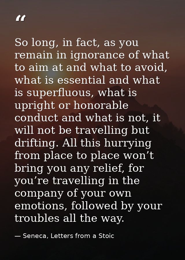So long, in fact, as you remain in ignorance of what to aim at and what to avoid, what is essential and what is superflu — Seneca, Letters from a Stoic