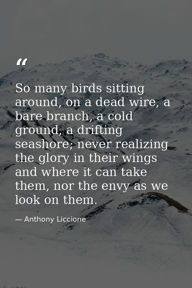So many birds sitting around, on a dead wire, a bare branch, a cold ground, a drifting seashore; never realizing the glo — Anthony Liccione