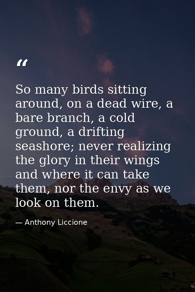 So many birds sitting around, on a dead wire, a bare branch, a cold ground, a drifting seashore; never realizing the glo — Anthony Liccione