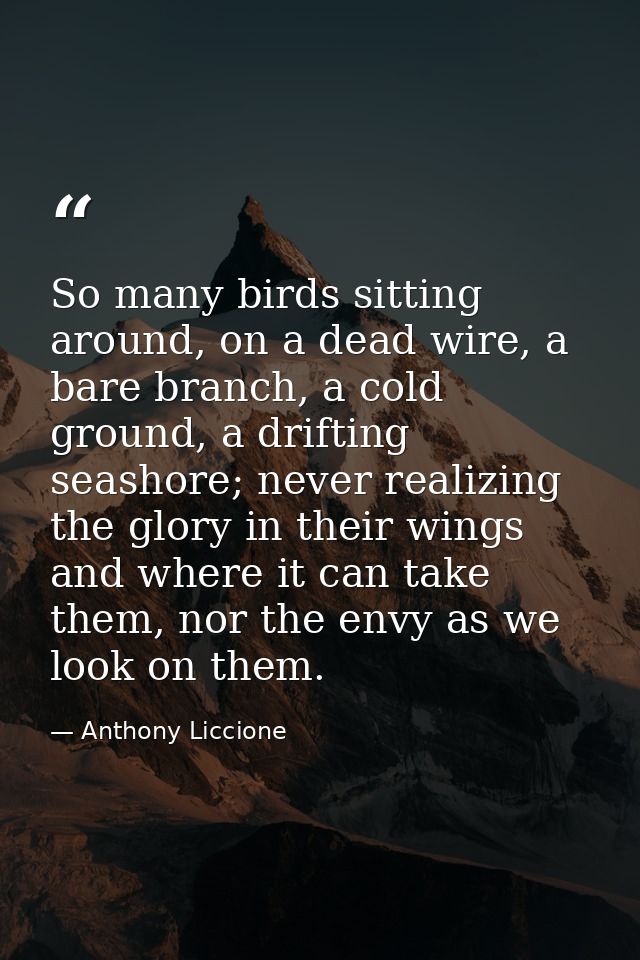So many birds sitting around, on a dead wire, a bare branch, a cold ground, a drifting seashore; never realizing the glo — Anthony Liccione