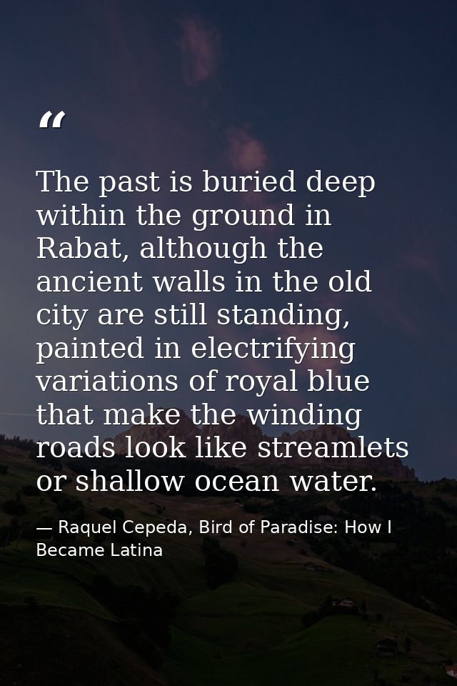 The past is buried deep within the ground in Rabat, although the ancient walls in the old city are still standing, paint — Raquel Cepeda, Bird of Paradise: How I Became Latina