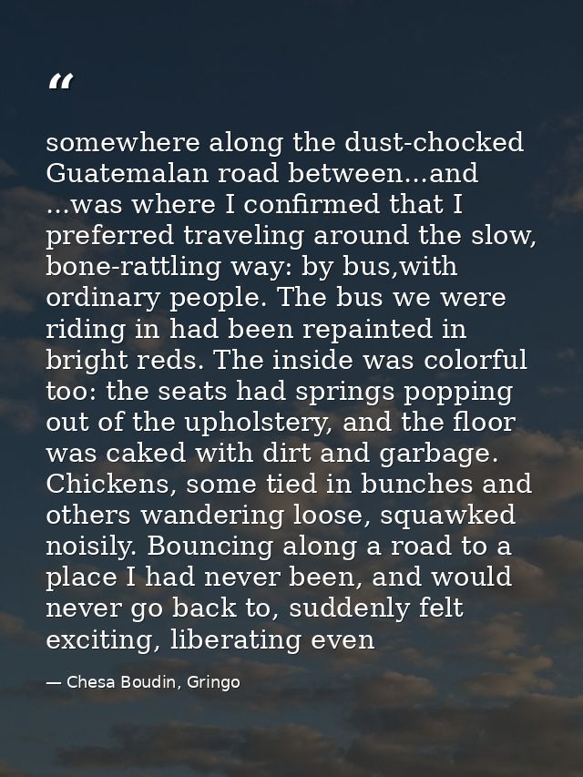 somewhere along the dust-chocked Guatemalan road between...and ...was where I confirmed that I preferred traveling aroun — Chesa Boudin, Gringo