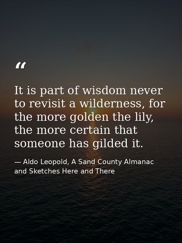 It is part of wisdom never to revisit a wilderness, for the more golden the lily, the more certain that someone has gild — Aldo Leopold, A Sand County Almanac and Sketches Here and There