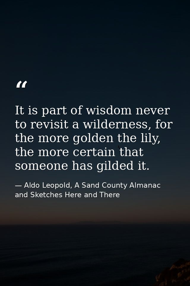 It is part of wisdom never to revisit a wilderness, for the more golden the lily, the more certain that someone has gild — Aldo Leopold, A Sand County Almanac and Sketches Here and There