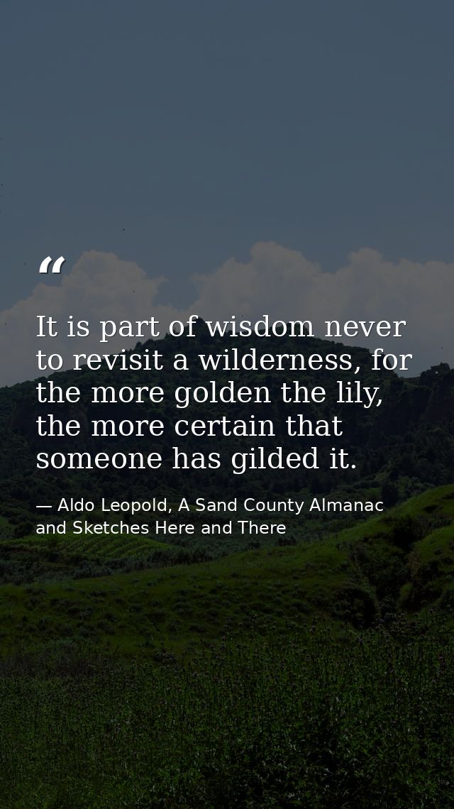 It is part of wisdom never to revisit a wilderness, for the more golden the lily, the more certain that someone has gild — Aldo Leopold, A Sand County Almanac and Sketches Here and There