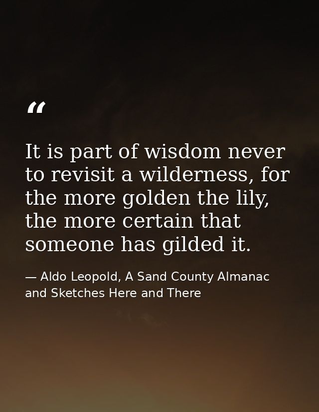 It is part of wisdom never to revisit a wilderness, for the more golden the lily, the more certain that someone has gild — Aldo Leopold, A Sand County Almanac and Sketches Here and There