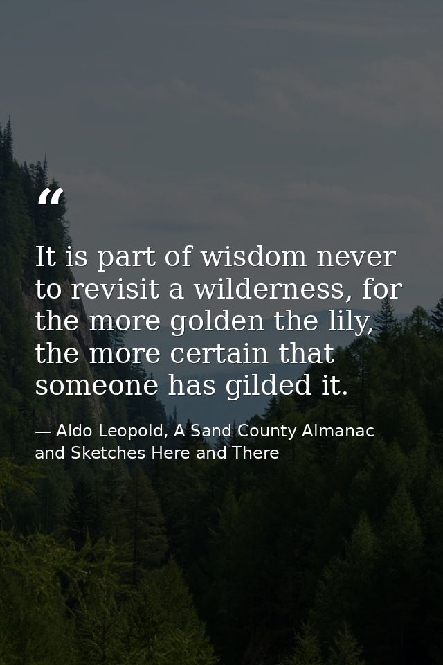 It is part of wisdom never to revisit a wilderness, for the more golden the lily, the more certain that someone has gild — Aldo Leopold, A Sand County Almanac and Sketches Here and There