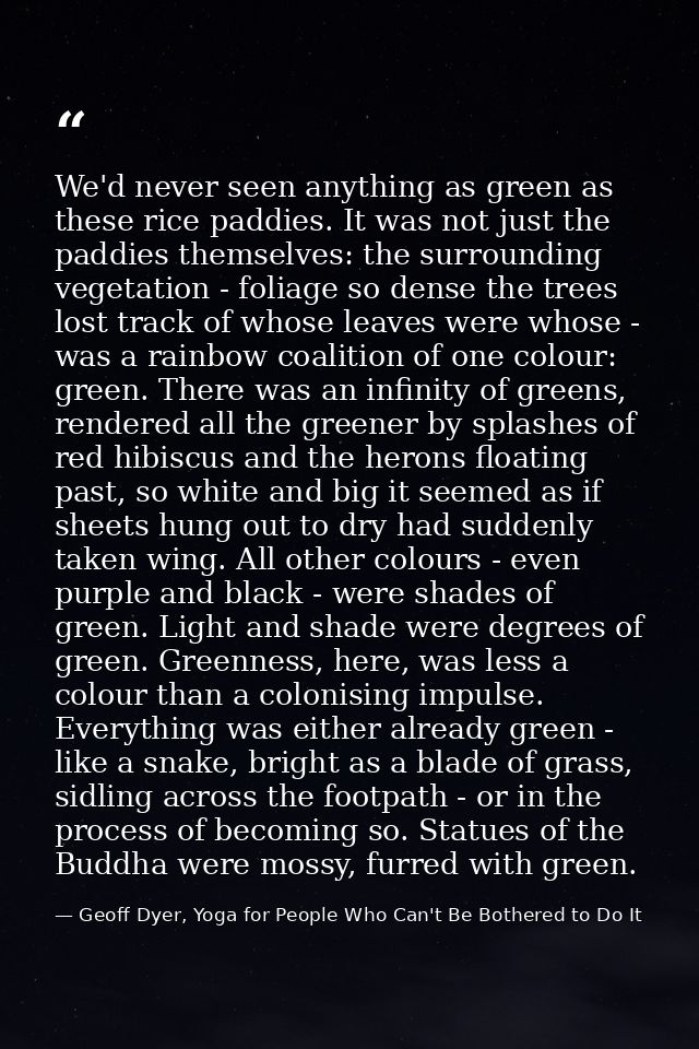 We'd never seen anything as green as these rice paddies. It was not just the paddies themselves: the surrounding vegetat — Geoff Dyer, Yoga for People Who Can't Be Bothered to Do It