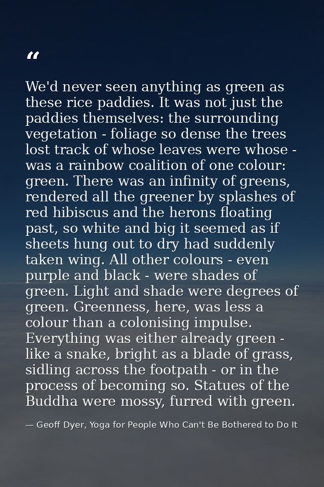 We'd never seen anything as green as these rice paddies. It was not just the paddies themselves: the surrounding vegetat — Geoff Dyer, Yoga for People Who Can't Be Bothered to Do It