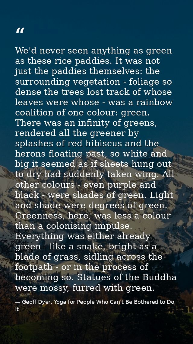 We'd never seen anything as green as these rice paddies. It was not just the paddies themselves: the surrounding vegetat — Geoff Dyer, Yoga for People Who Can't Be Bothered to Do It