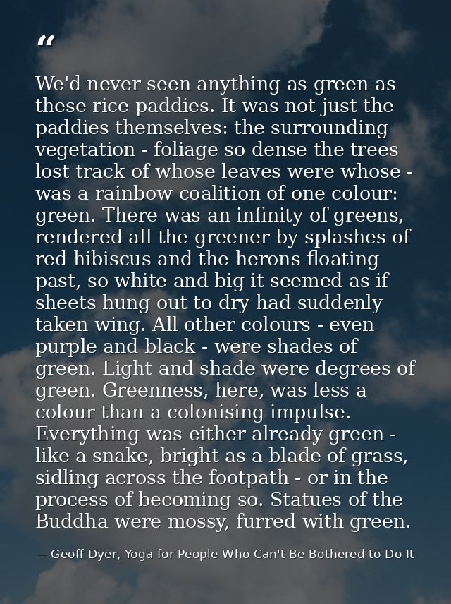 We'd never seen anything as green as these rice paddies. It was not just the paddies themselves: the surrounding vegetat — Geoff Dyer, Yoga for People Who Can't Be Bothered to Do It