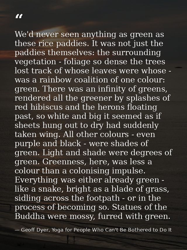 We'd never seen anything as green as these rice paddies. It was not just the paddies themselves: the surrounding vegetat — Geoff Dyer, Yoga for People Who Can't Be Bothered to Do It