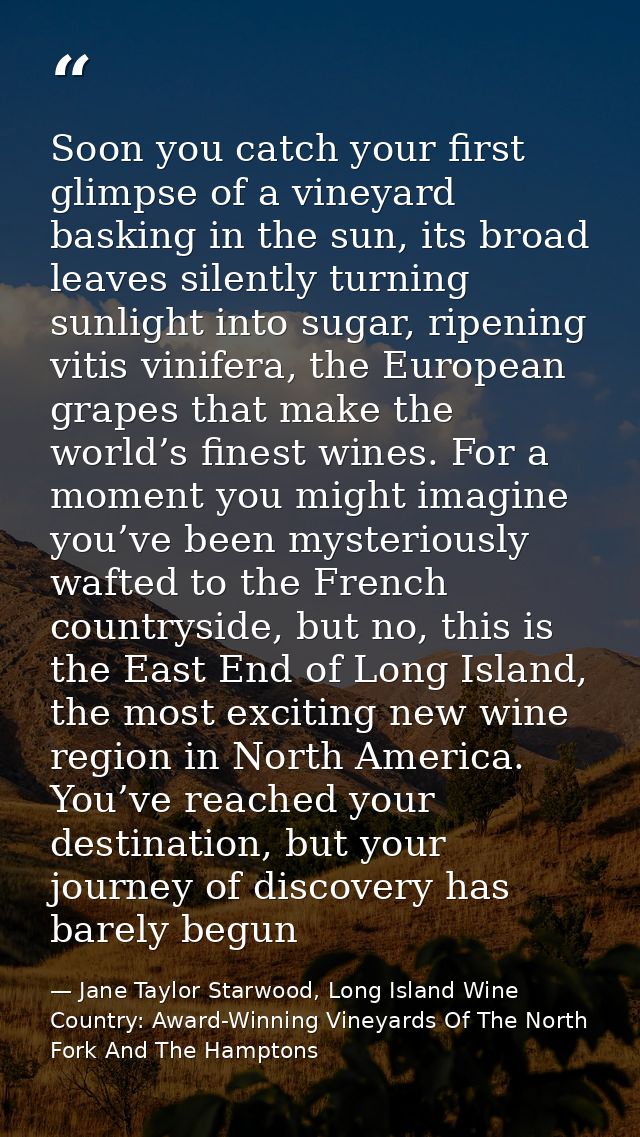 Soon you catch your first glimpse of a vineyard basking in the sun, its broad leaves silently turning sunlight into suga — Jane Taylor Starwood, Long Island Wine Country: Award-Winning Vineyards Of The North Fork And The Hamptons