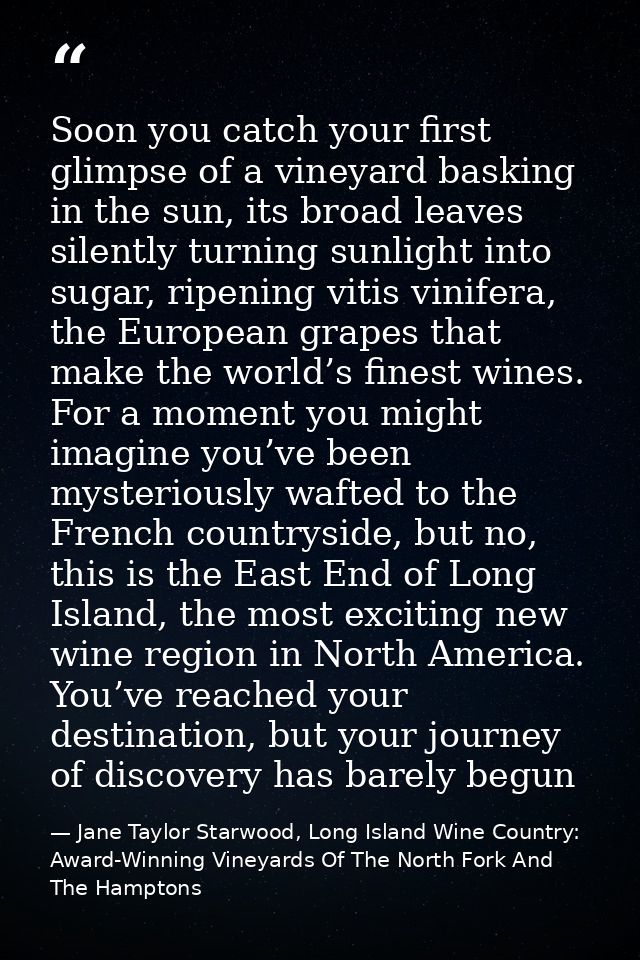 Soon you catch your first glimpse of a vineyard basking in the sun, its broad leaves silently turning sunlight into suga — Jane Taylor Starwood, Long Island Wine Country: Award-Winning Vineyards Of The North Fork And The Hamptons