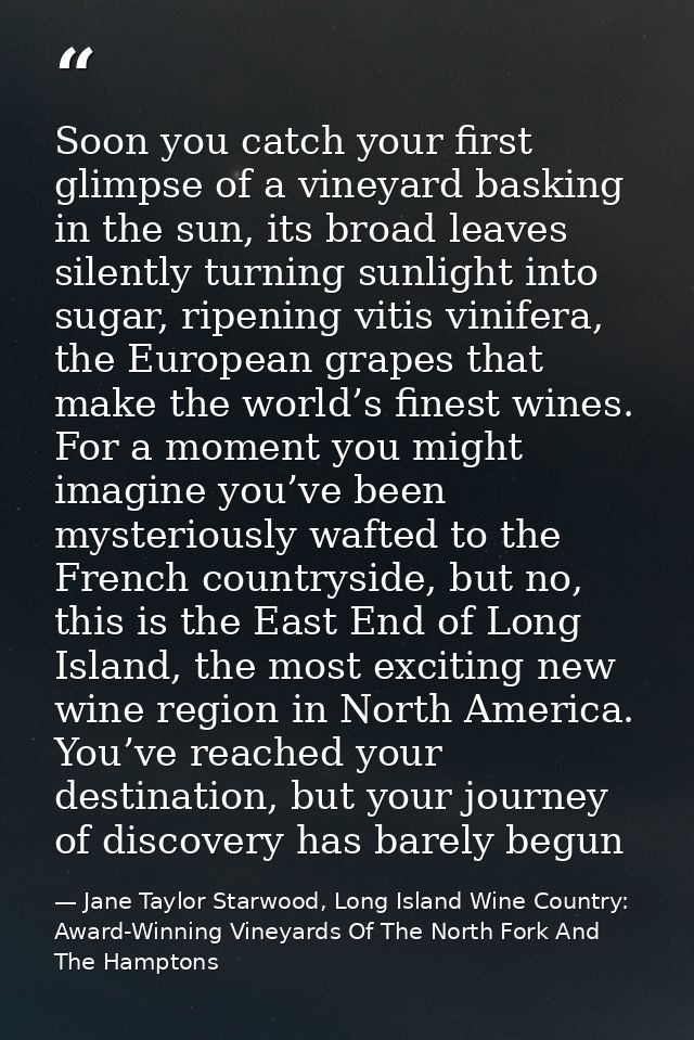 Soon you catch your first glimpse of a vineyard basking in the sun, its broad leaves silently turning sunlight into suga — Jane Taylor Starwood, Long Island Wine Country: Award-Winning Vineyards Of The North Fork And The Hamptons