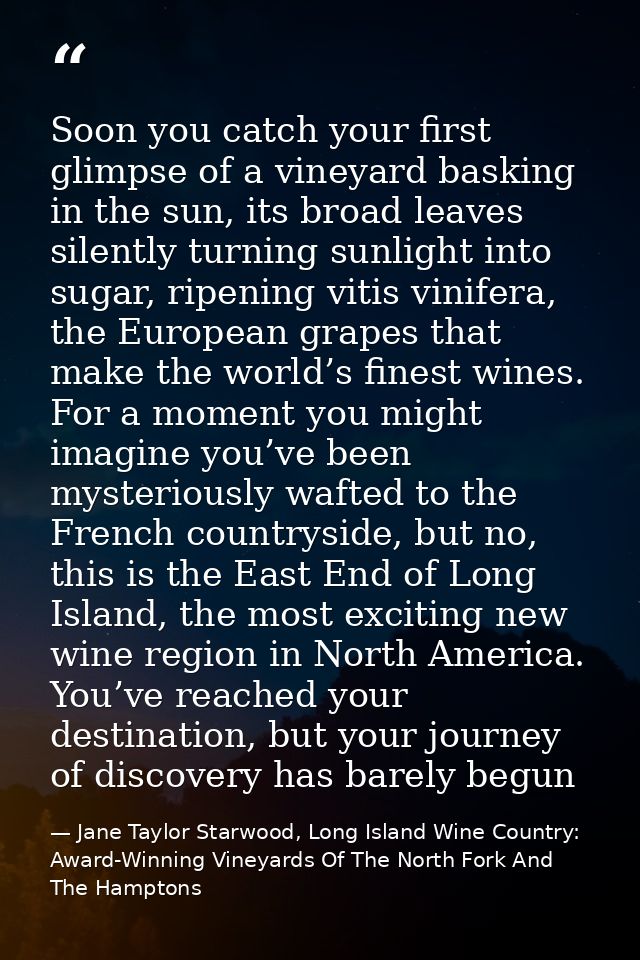 Soon you catch your first glimpse of a vineyard basking in the sun, its broad leaves silently turning sunlight into suga — Jane Taylor Starwood, Long Island Wine Country: Award-Winning Vineyards Of The North Fork And The Hamptons