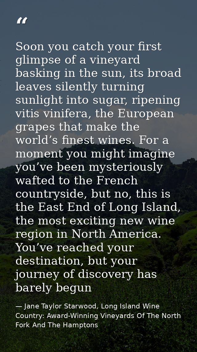 Soon you catch your first glimpse of a vineyard basking in the sun, its broad leaves silently turning sunlight into suga — Jane Taylor Starwood, Long Island Wine Country: Award-Winning Vineyards Of The North Fork And The Hamptons