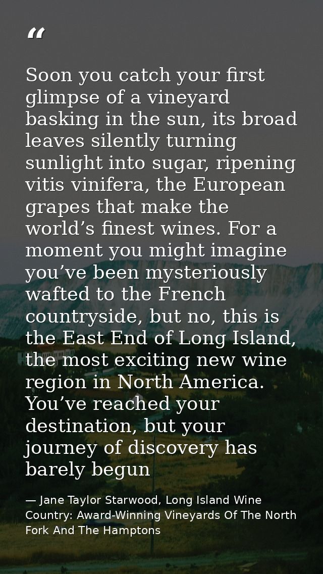 Soon you catch your first glimpse of a vineyard basking in the sun, its broad leaves silently turning sunlight into suga — Jane Taylor Starwood, Long Island Wine Country: Award-Winning Vineyards Of The North Fork And The Hamptons