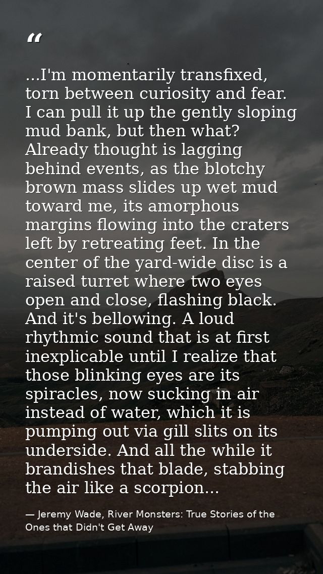 ...I'm momentarily transfixed, torn between curiosity and fear. I can pull it up the gently sloping mud bank, but then w — Jeremy Wade, River Monsters: True Stories of the Ones that Didn't Get Away