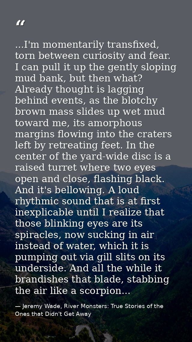 ...I'm momentarily transfixed, torn between curiosity and fear. I can pull it up the gently sloping mud bank, but then w — Jeremy Wade, River Monsters: True Stories of the Ones that Didn't Get Away