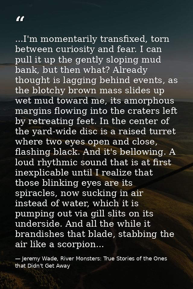 ...I'm momentarily transfixed, torn between curiosity and fear. I can pull it up the gently sloping mud bank, but then w — Jeremy Wade, River Monsters: True Stories of the Ones that Didn't Get Away