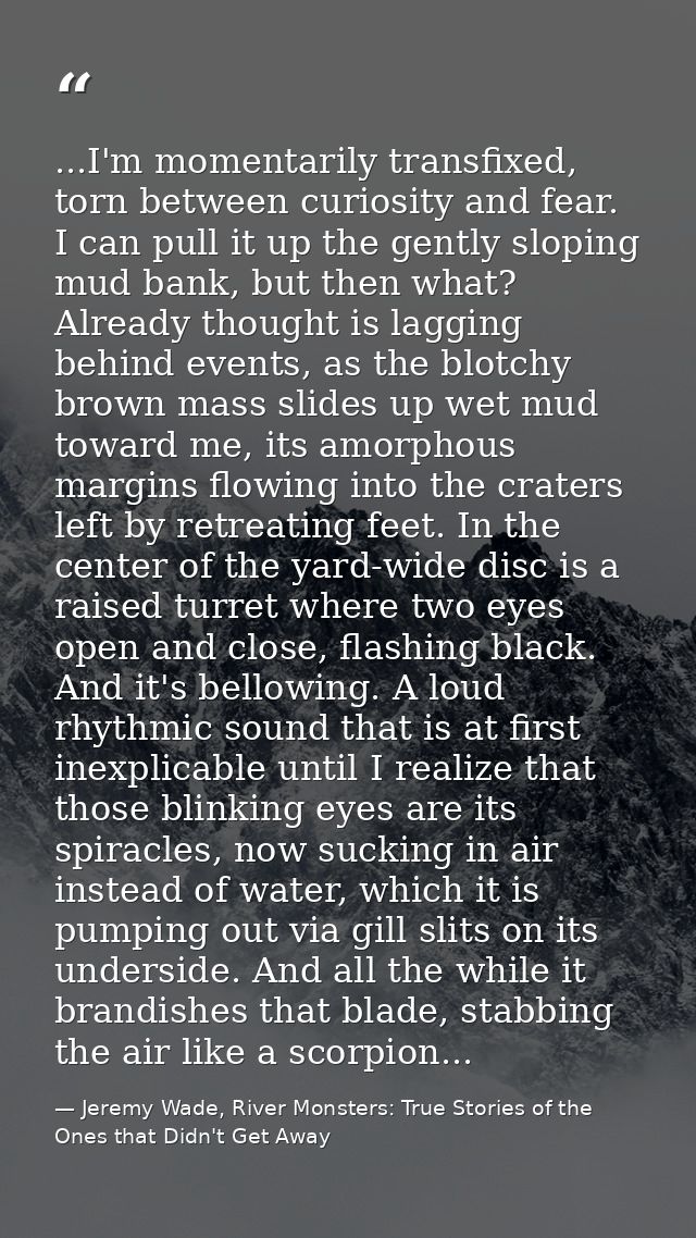 ...I'm momentarily transfixed, torn between curiosity and fear. I can pull it up the gently sloping mud bank, but then w — Jeremy Wade, River Monsters: True Stories of the Ones that Didn't Get Away