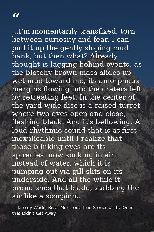 ...I'm momentarily transfixed, torn between curiosity and fear. I can pull it up the gently sloping mud bank, but then w — Jeremy Wade, River Monsters: True Stories of the Ones that Didn't Get Away