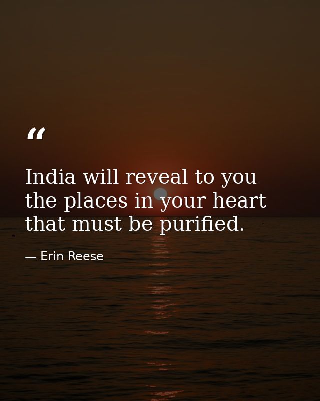 India will reveal to you the places in your heart that must be purified. — Erin Reese