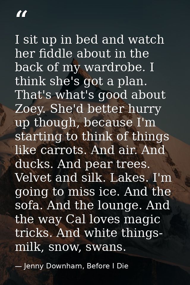 I sit up in bed and watch her fiddle about in the back of my wardrobe. I think she's got a plan. That's what's good abou — Jenny Downham, Before I Die
