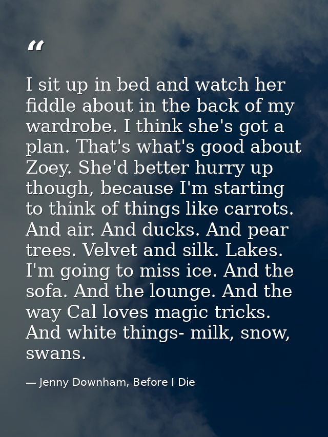 I sit up in bed and watch her fiddle about in the back of my wardrobe. I think she's got a plan. That's what's good abou — Jenny Downham, Before I Die